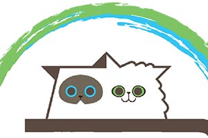 miniature de mon image