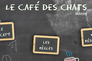 miniature de mon image